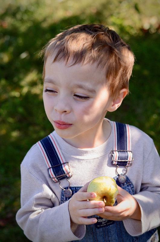 Apple Orchard Fun