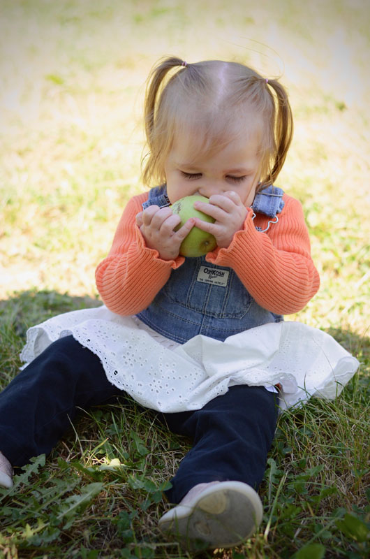 Apple Orchard Fun